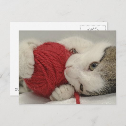 Studio-opname Briefkaart (Voorkant / Achterkant)