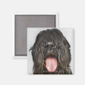 Studio-opname Magneet (Voorkant / Achterkant)