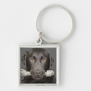 Studio-portret van chocoladelabrador sleutelhanger
