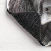 Studio-portret van cockerspaniel muismat (Hoek)