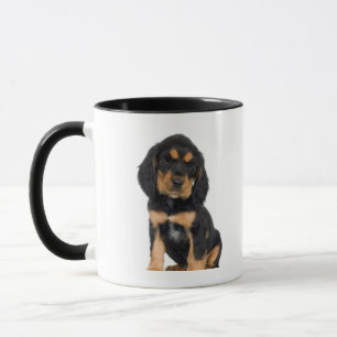 Studio-portret van Rottweiler-puppy Mok