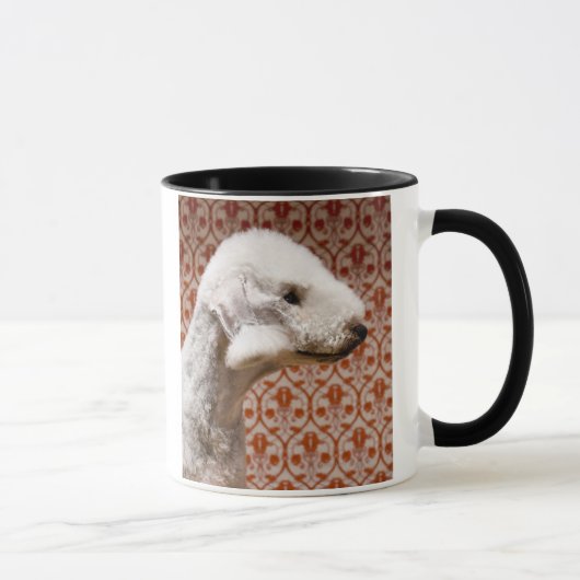 Studio shot van Bedlington Terrier Mok (Rechts)