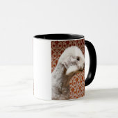 Studio shot van Bedlington Terrier Mok (Voorkant rechts)