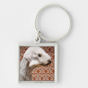 Studio shot van Bedlington Terrier Sleutelhanger
