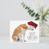 Studio shot van Shiba Inu hond met Santa-hoed Feestdagenkaart (Staand voorkant)