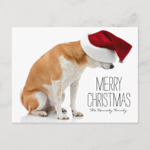 Studio shot van Shiba Inu hond met Santa-hoed Feestdagenkaart