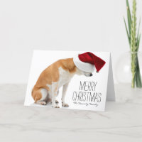 Studio van de hond die van Shiba is ontsproten Inu