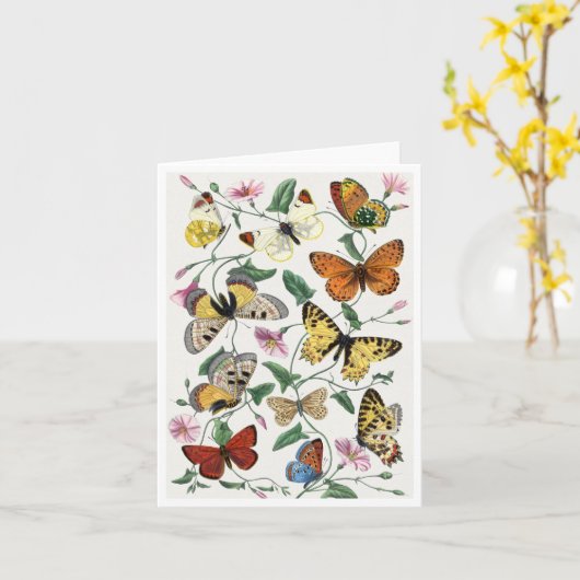 Study of diurnal butterflies by Paul Gervais Brief Kaart (Gele Bloem)