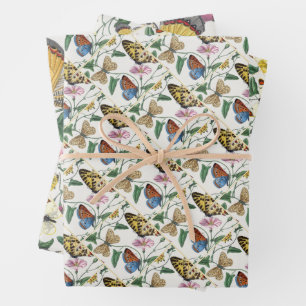 Study of diurnal butterflies by Paul Gervais Inpakpapier Vel