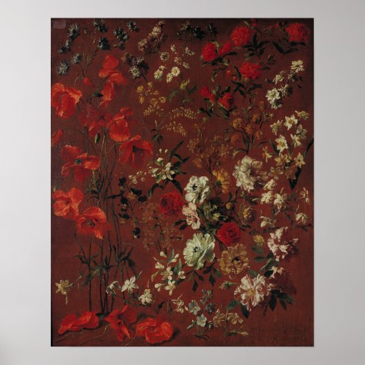 Study of Flowers, 1720 Poster (Voorkant)