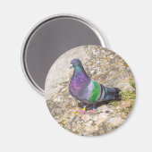 Stuk. Magneet (Voorkant / Achterkant)