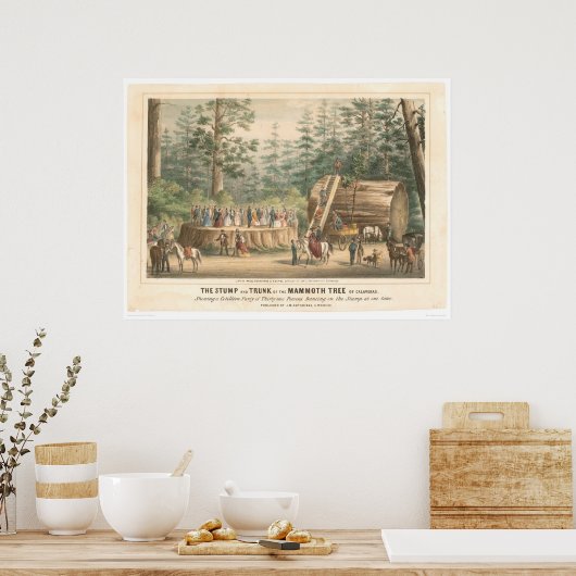 Stump of the Mammoth Tree of Calaveras (0977A) Poster (Keuken)