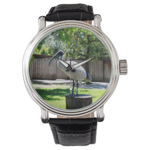 **"Stump Perch: de rustplaats van de Bin Chicken"* Horloge