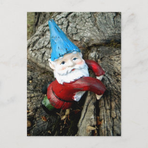 Stumped Gnome Briefkaart
