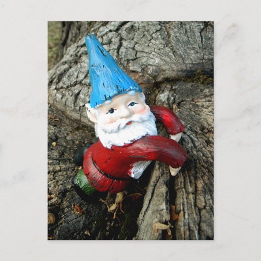 Stumped Gnome Briefkaart (Voorkant)