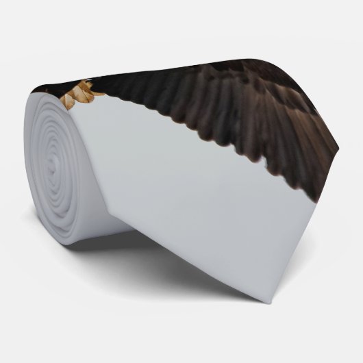 Stunning Bald Eagle neemt de hemel in Stropdas (Opgerold)