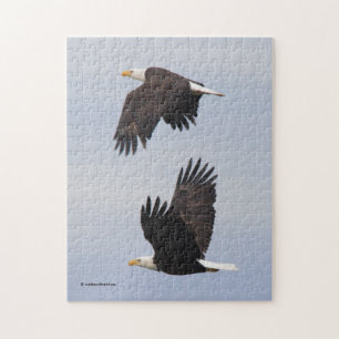 Stunning Bald Eagle Pair in vlucht Legpuzzel