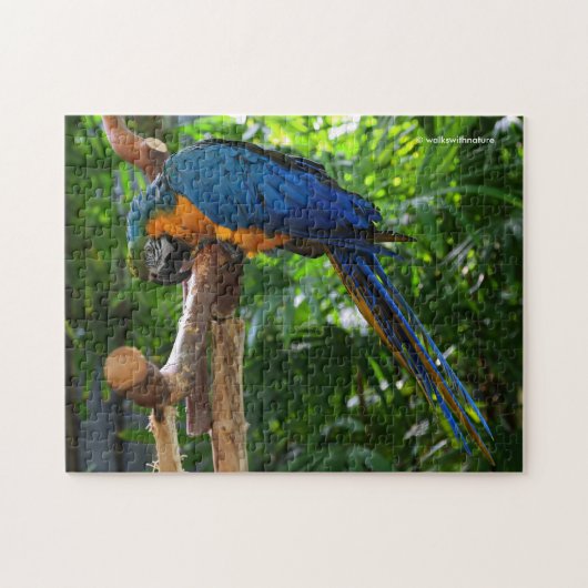 Stunning Blue en Gold Macaw Parrot Legpuzzel (Horizontaal)