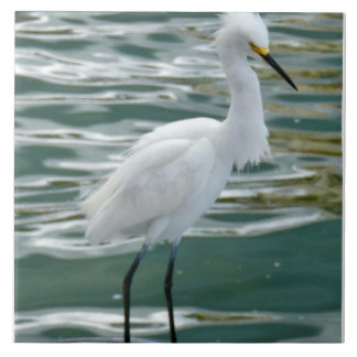 Stunning Egret Bird Tegeltje