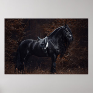 Stunning Elegant Sport Dressage Friesian Stallion Poster