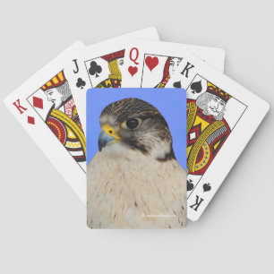 Stunning Gyrfalcon Saker Hybrid Falcon Pokerkaarten