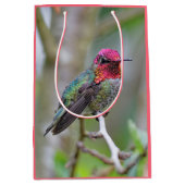 Stunning Male Anna's Hummingbird in Plum Tree Medium Cadeauzakje (Voorkant)