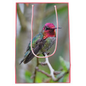 Stunning Male Anna's Hummingbird in Plum Tree Medium Cadeauzakje (Achterkant)
