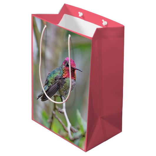 Stunning Male Anna's Hummingbird in Plum Tree Medium Cadeauzakje (Achterkant Gekanteld)