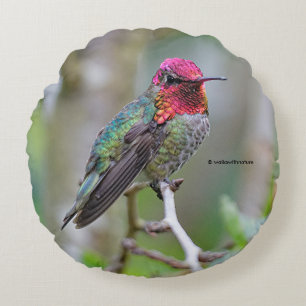 Stunning Male Anna's Hummingbird op de Plum Tree Rond Kussen