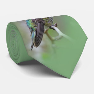 Stunning Male Anna's Hummingbird op de Plum Tree Stropdas