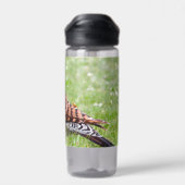 Stunning Northern Flicker Foraging in the Grass Waterfles (Achterkant)