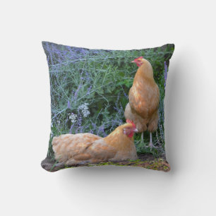 Stunning Orpington Hen Pillow Kussen