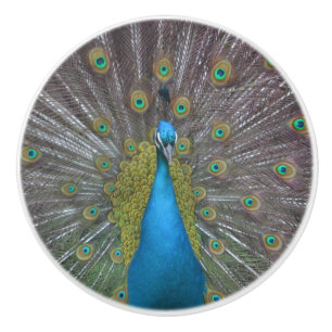 Stunning Peacock Keramische Knop