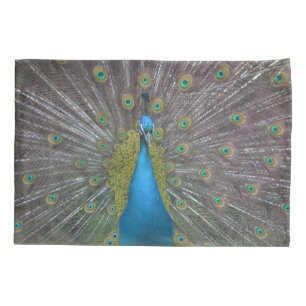 Stunning Peacock Kussensloop