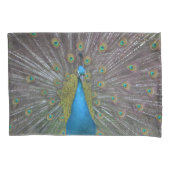 Stunning Peacock Kussensloop (Voorkant)