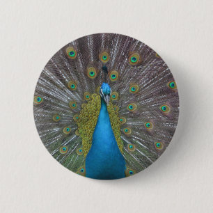 Stunning Peacock Ronde Button 5,7 Cm