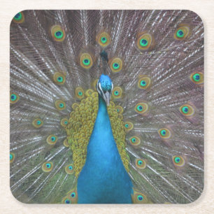 Stunning Peacock Vierkante Kartonnen Onderzetter