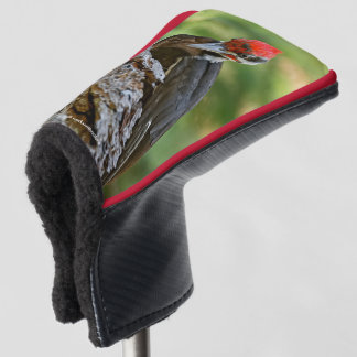 Stunning Portrait of Pileated Woodpecker on Tree Golfheadcover