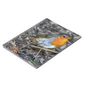 Stunning Robin Notitieboek (Linkerzijde)