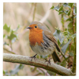 Stunning Robin Tegeltje