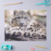 Stunning Snow Leopard Lying Down Tissuepapier (Craft)
