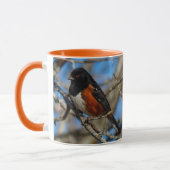 Stunning Spotted Towee Songbird on Branch Mok (Links)