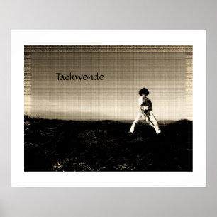 Stunning taekwondo poster
