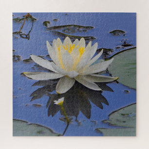 Stunning Water Lily Legpuzzel