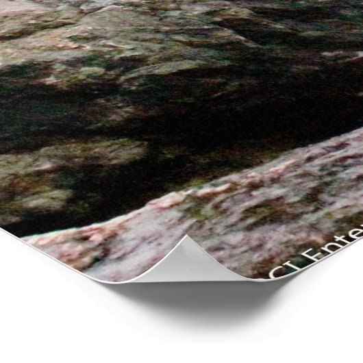 Stunning Waterfall Poster (Hoek)