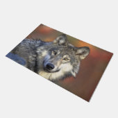 Stunning wolf portret deurmat (Schuin)