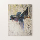 Stunning Wood Duck Flapping Legpuzzel (Verticaal)