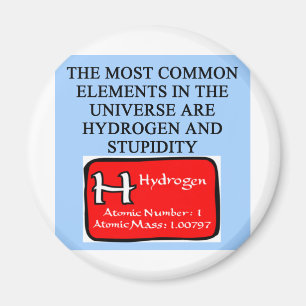 STUPIDITEIT MAGNEET