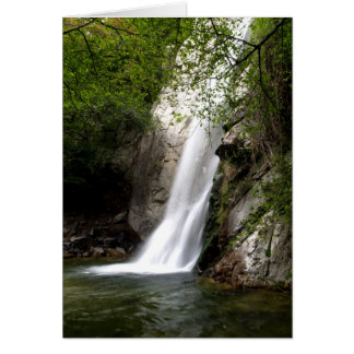 Sturdevant Herfsten Californië