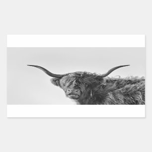Sturdy highland koe in monochroom rechthoekige sticker
